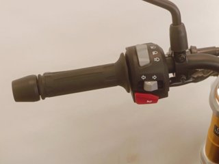 BMW MOTORRAD G 310 r abs my21