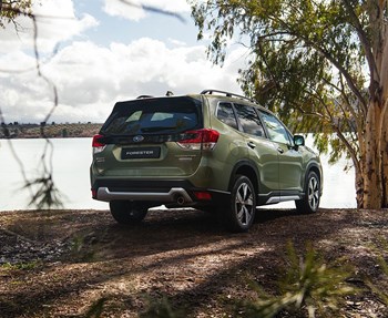 Subaru Forester Milano gallery 8