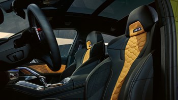 BMW X6 M Bergamo Lecco Sondrio gallery 7