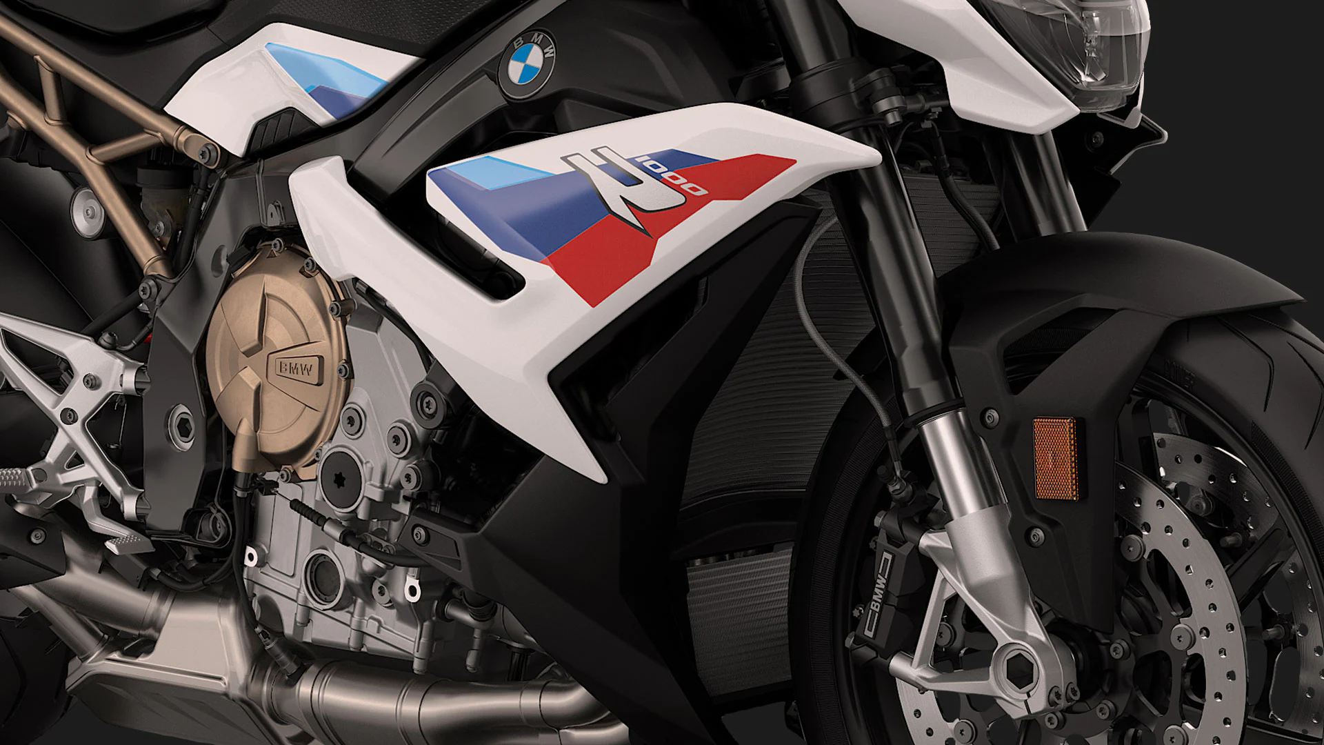 BMW S1000r Lecco Sondrio gallery 5