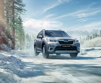 Subaru Forester Milano gallery 6