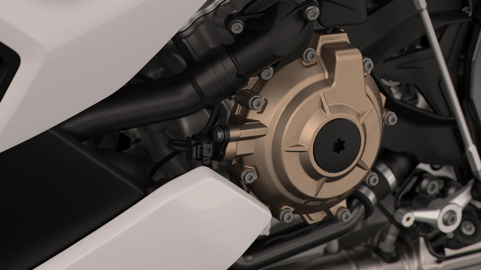 BMW S1000r Lecco Sondrio gallery 2