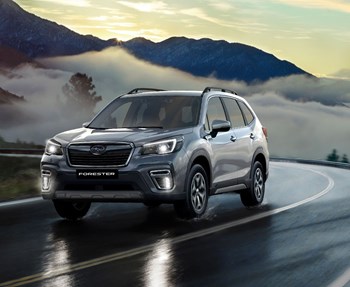 Subaru Forester Milano gallery 3