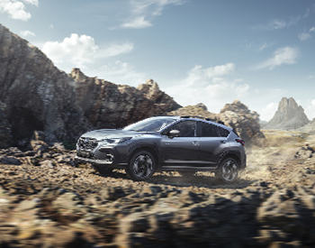 Nuovo Progetto (5) (1)